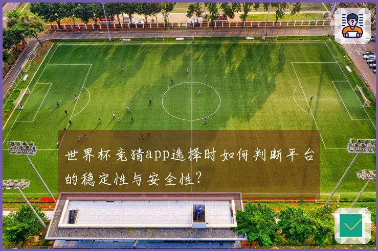 世界杯竞猜app选择时如何判断平台的稳定性与安全性？
