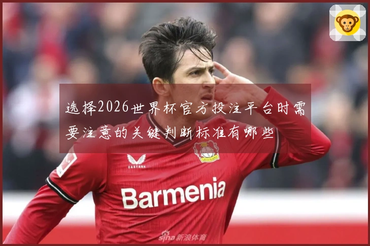 选择2026世界杯官方投注平台时需要注意的关键判断标准有哪些